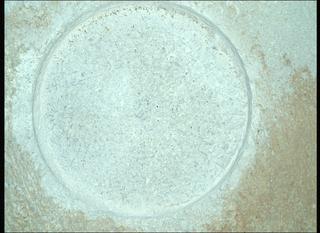 View image taken on Mars, Mars Perseverance Sol 1424: WATSON Camera 