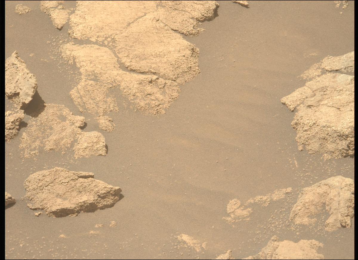 This image was taken by MCZ_LEFT onboard NASA's Mars rover Perseverance on Sol 1424