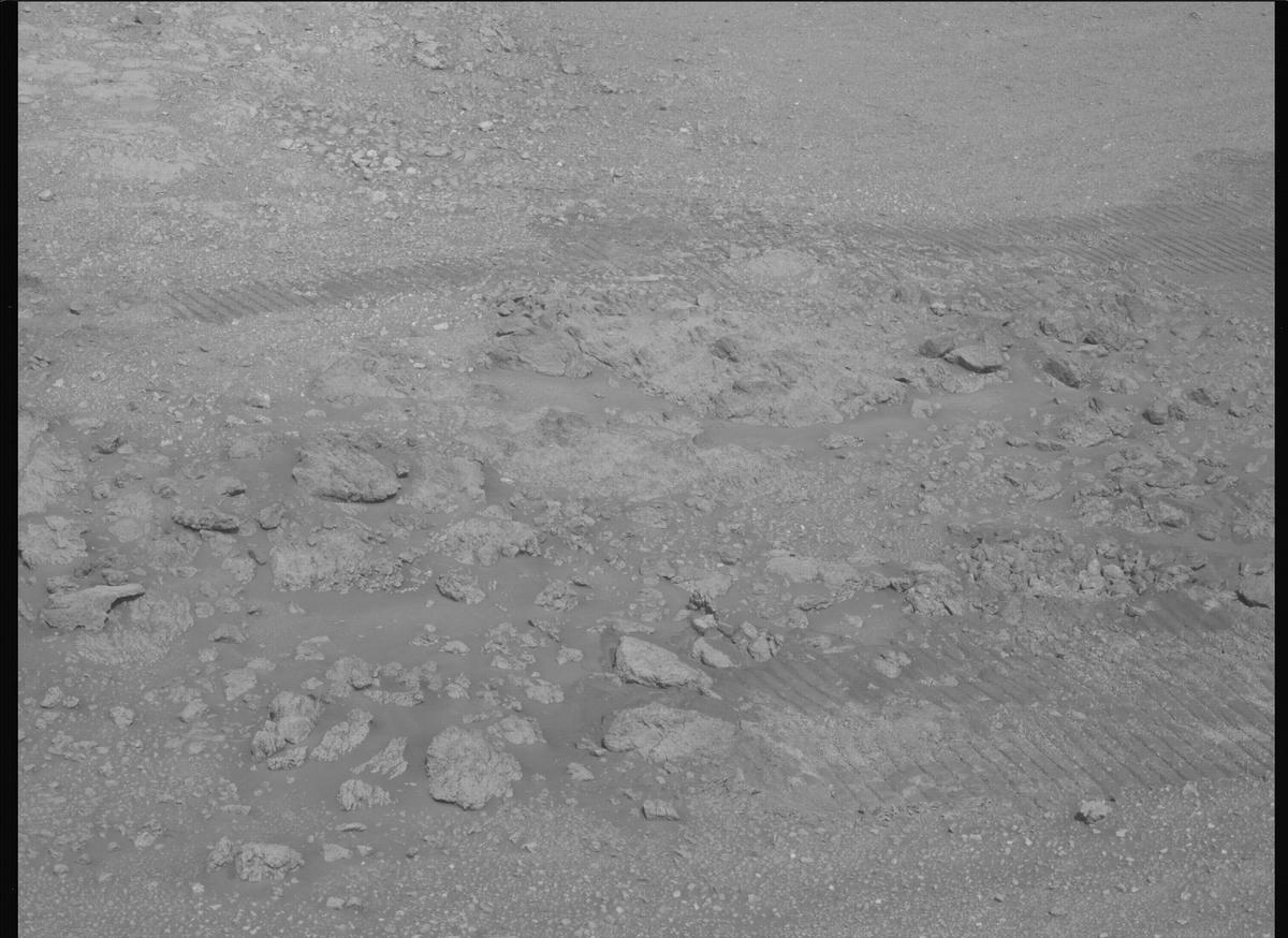 This image was taken by MCZ_LEFT onboard NASA's Mars rover Perseverance on Sol 1424