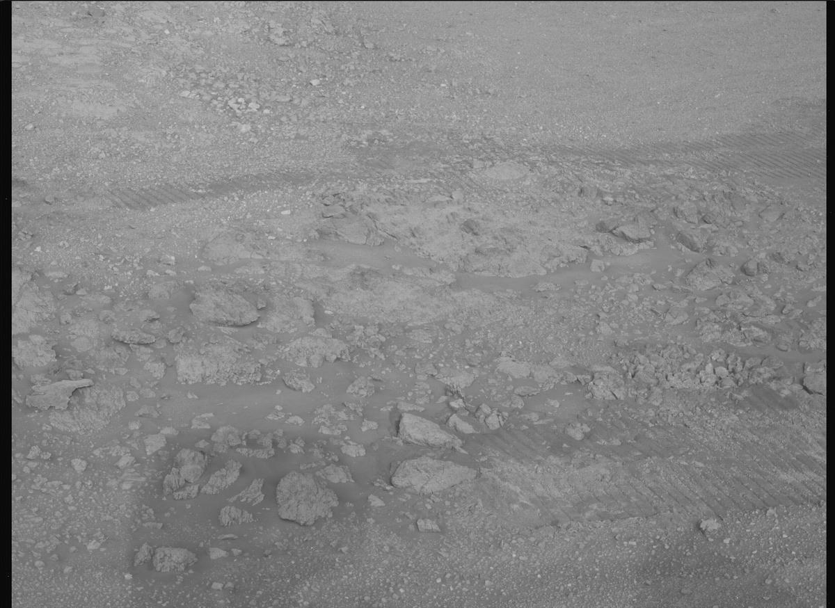 This image was taken by MCZ_LEFT onboard NASA's Mars rover Perseverance on Sol 1424