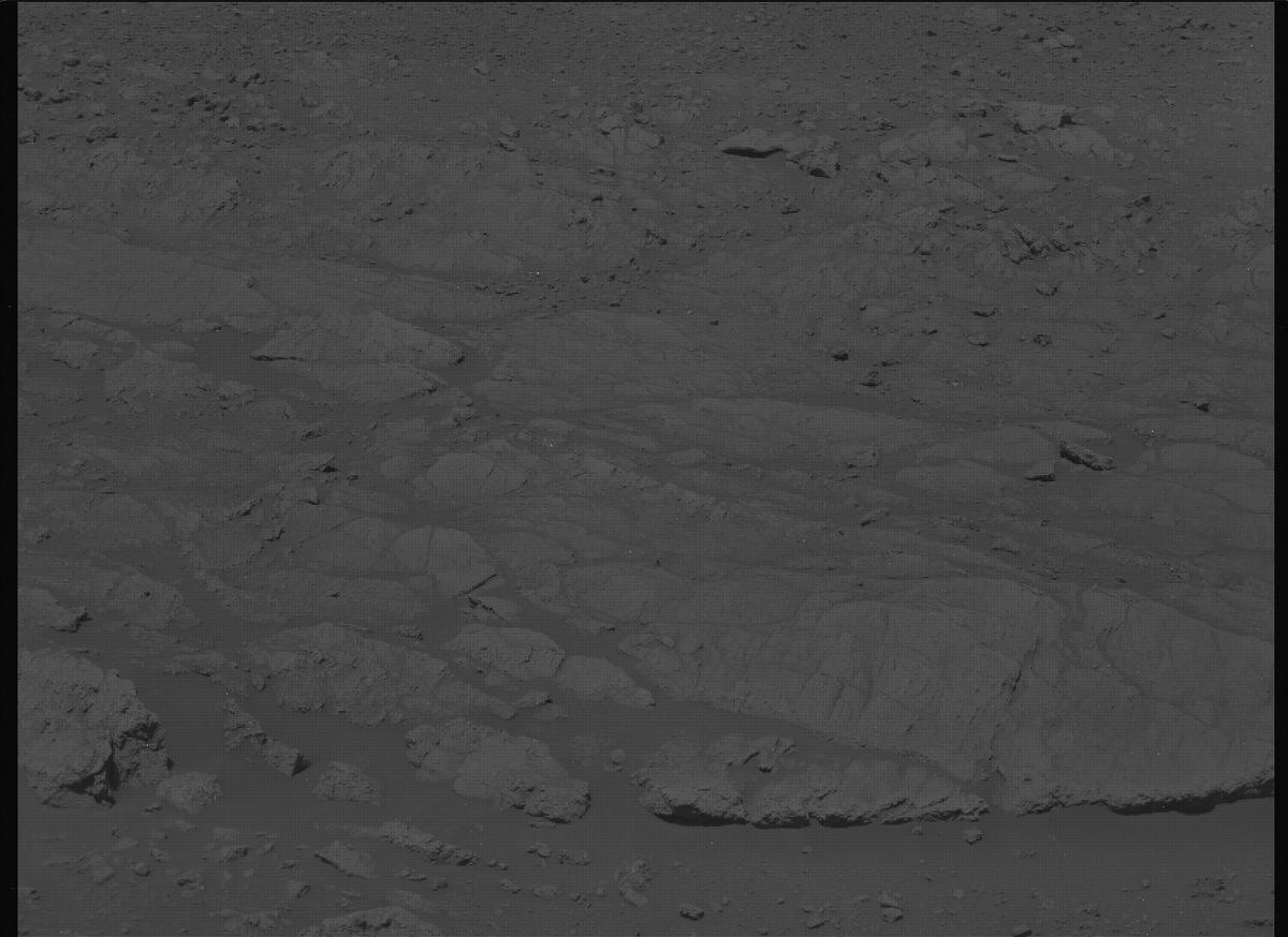 This image was taken by MCZ_LEFT onboard NASA's Mars rover Perseverance on Sol 1424