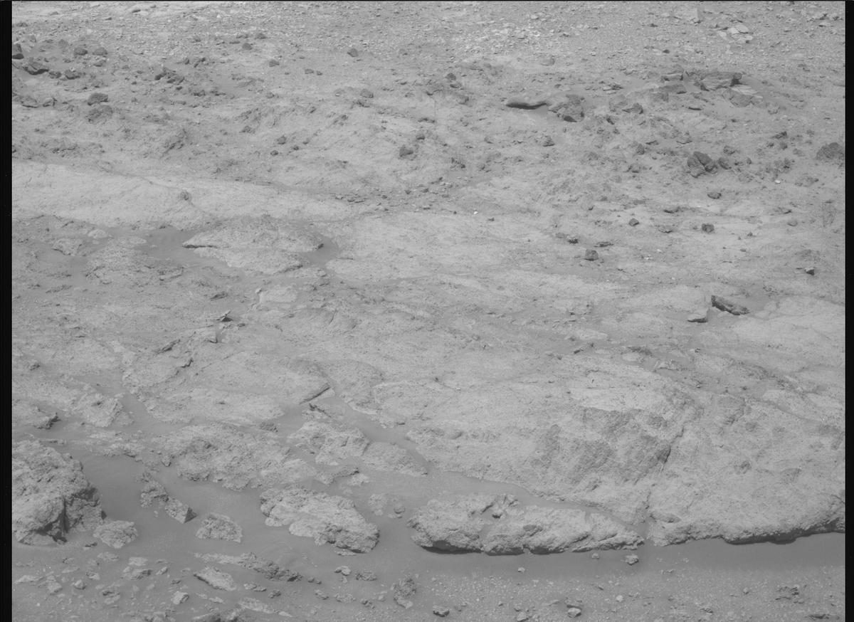 This image was taken by MCZ_RIGHT onboard NASA's Mars rover Perseverance on Sol 1424
