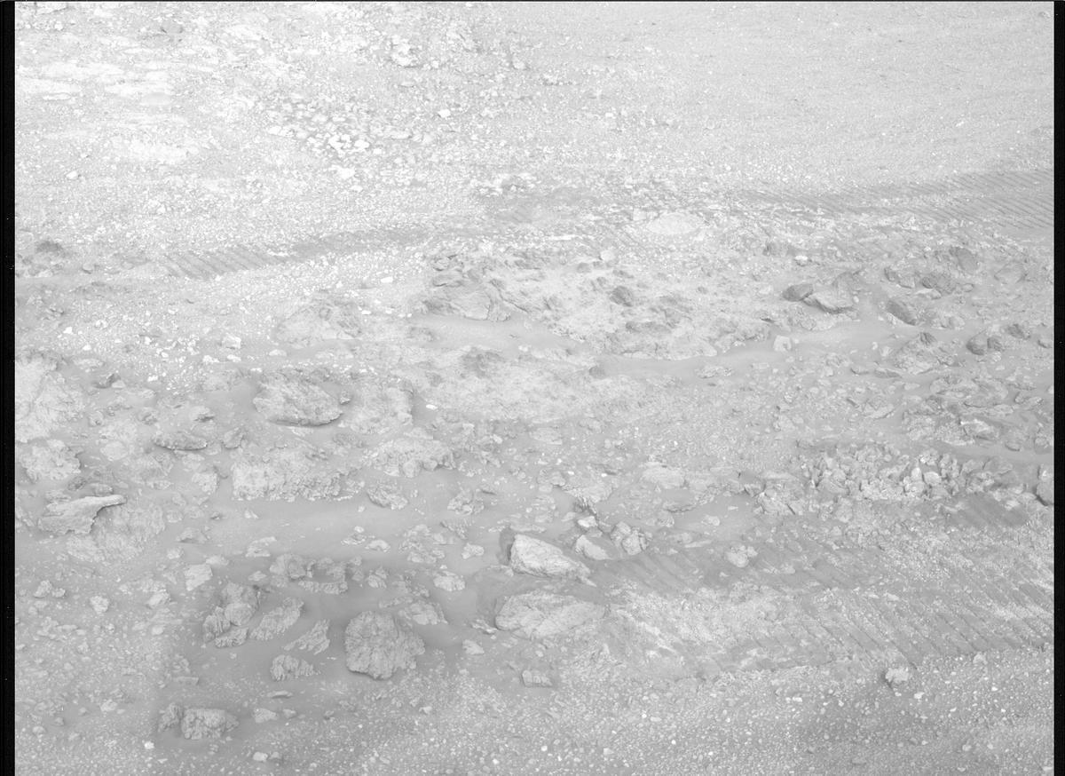 This image was taken by MCZ_RIGHT onboard NASA's Mars rover Perseverance on Sol 1424