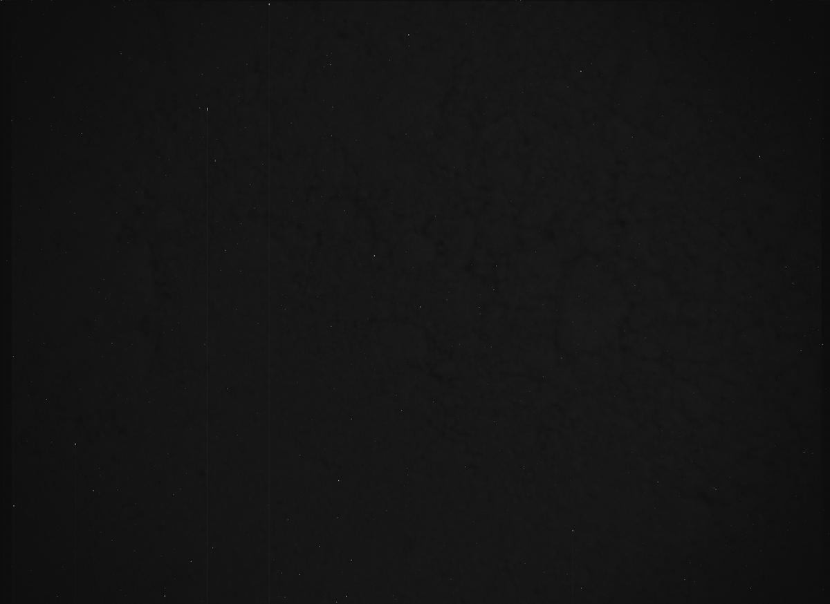 This image was taken by SHERLOC_ACI onboard NASA's Mars rover Perseverance on Sol 1426