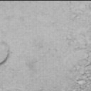 This image was taken by MCZ_LEFT onboard NASA's Mars rover Perseverance on Sol 1427