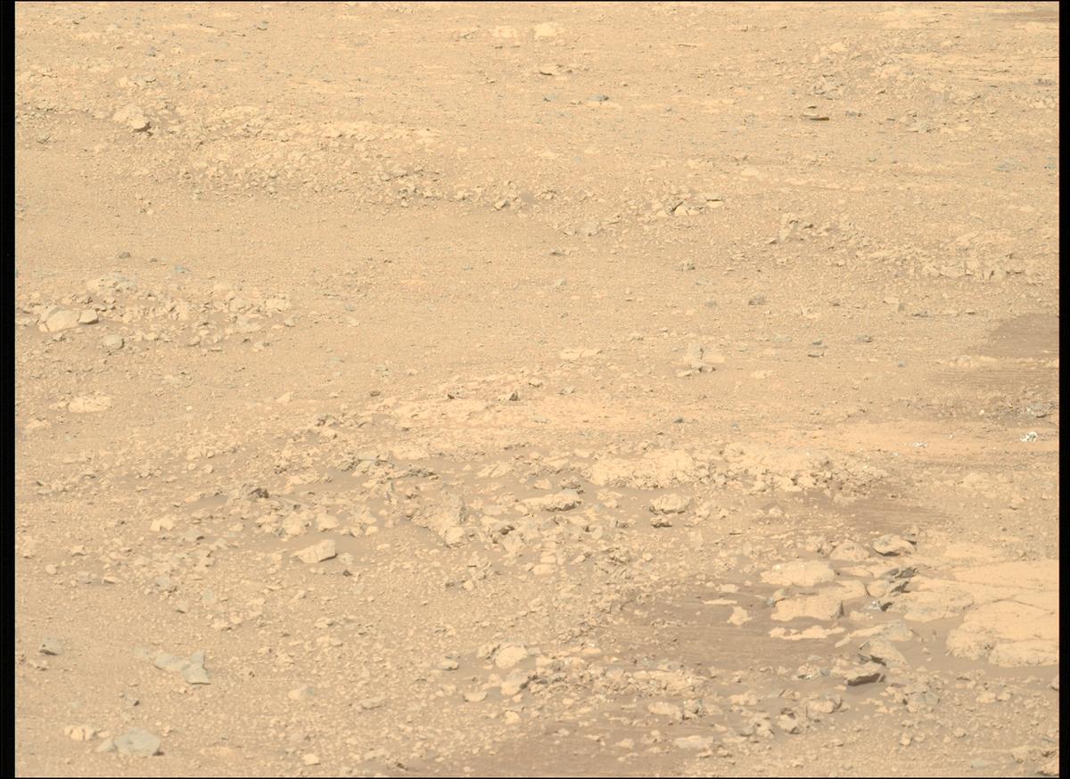 This image was taken by MCZ_LEFT onboard NASA's Mars rover Perseverance on Sol 1429