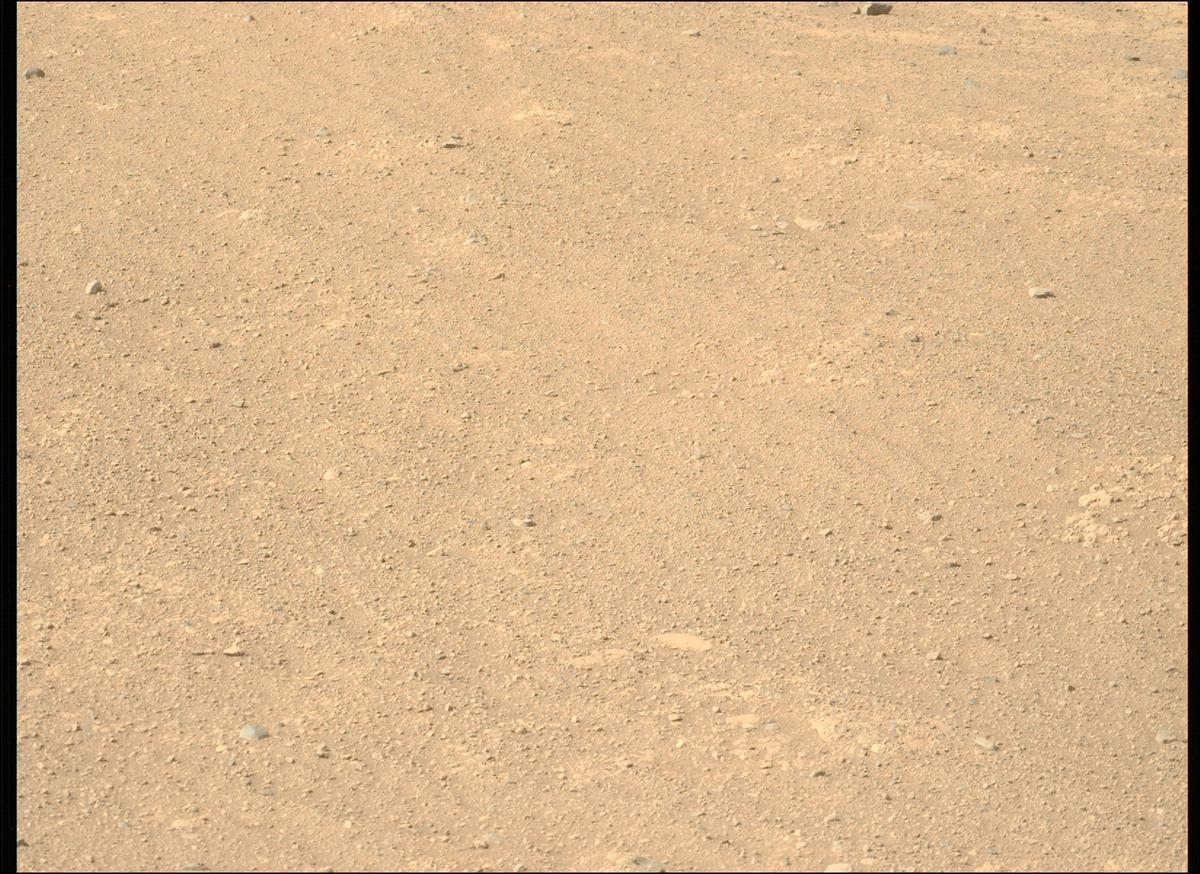 This image was taken by MCZ_LEFT onboard NASA's Mars rover Perseverance on Sol 1429