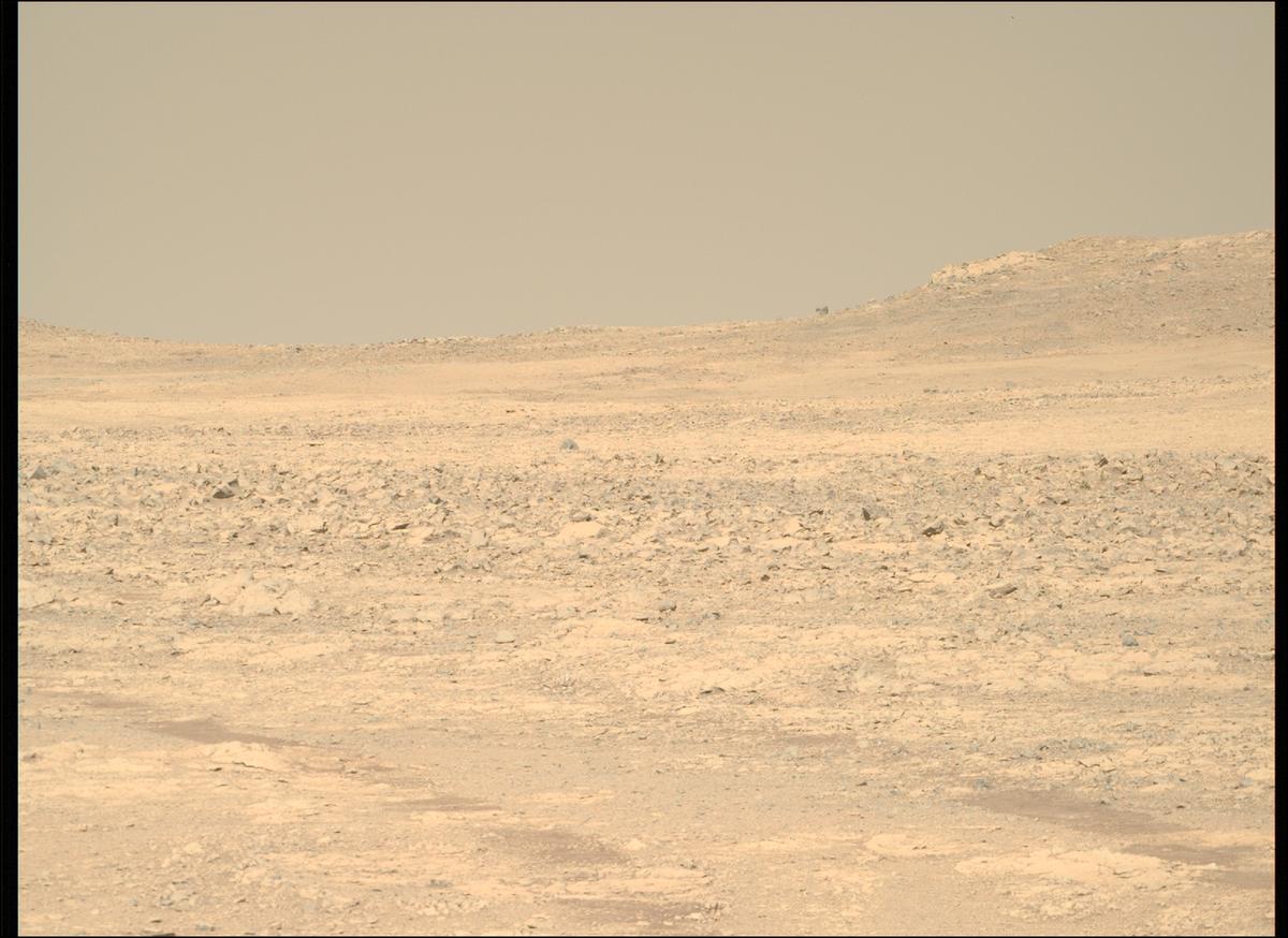 This image was taken by MCZ_RIGHT onboard NASA's Mars rover Perseverance on Sol 1429