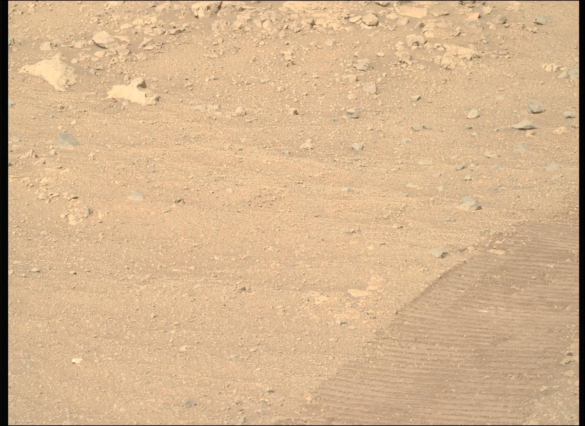 This image was taken by MCZ_RIGHT onboard NASA's Mars rover Perseverance on Sol 1429