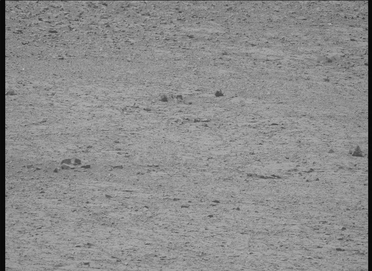 This image was taken by MCZ_LEFT onboard NASA's Mars rover Perseverance on Sol 1430