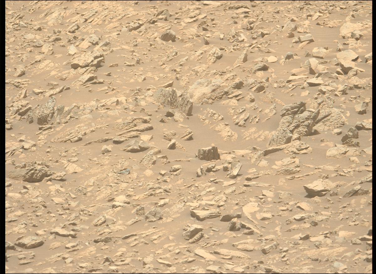 This image was taken by MCZ_LEFT onboard NASA's Mars rover Perseverance on Sol 1430