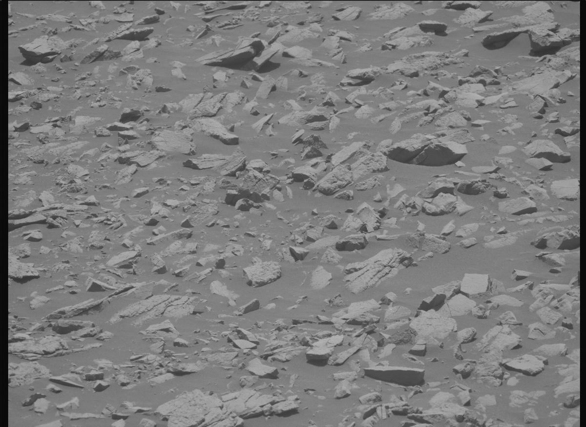 This image was taken by MCZ_LEFT onboard NASA's Mars rover Perseverance on Sol 1430