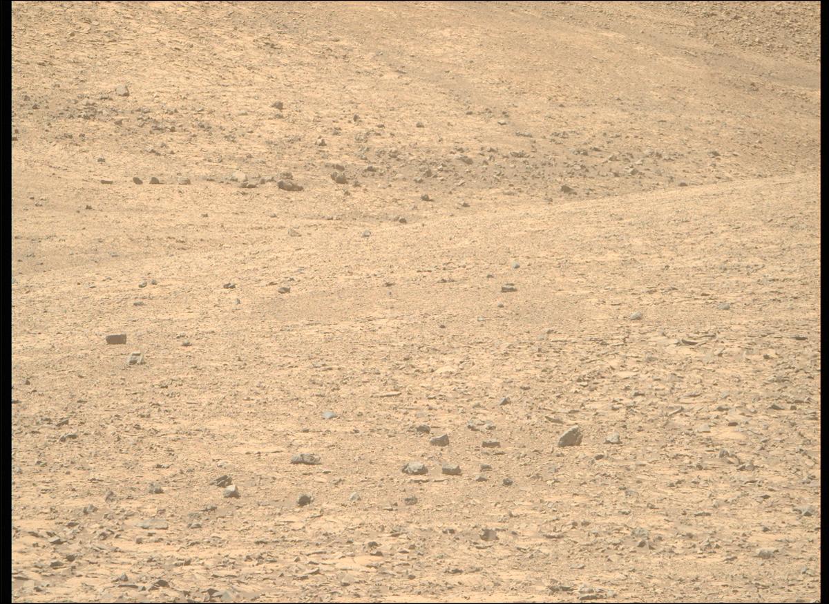 This image was taken by MCZ_RIGHT onboard NASA's Mars rover Perseverance on Sol 1430