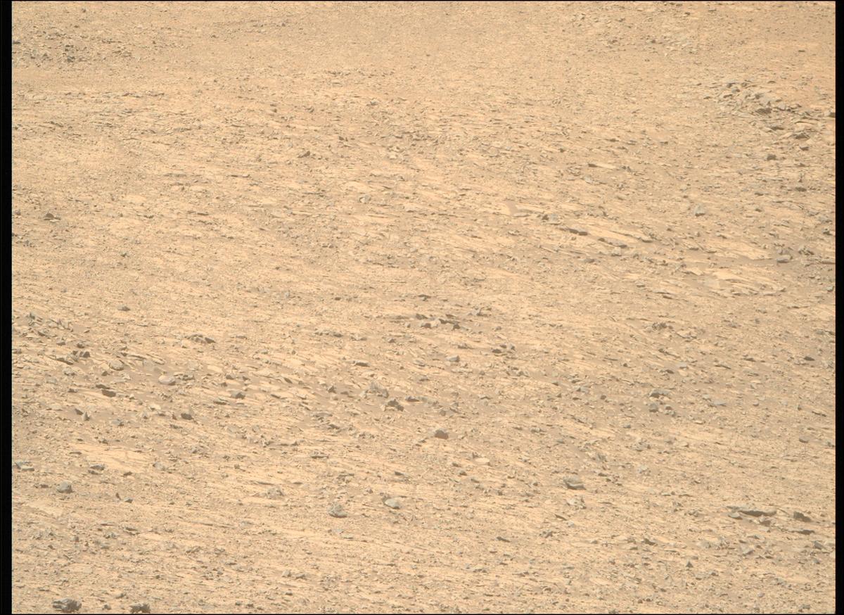 This image was taken by MCZ_RIGHT onboard NASA's Mars rover Perseverance on Sol 1430