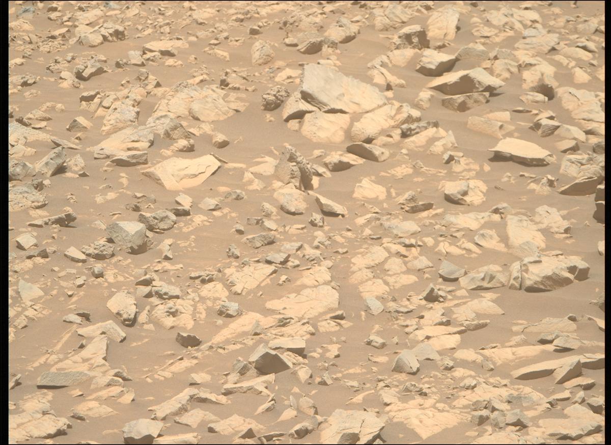 This image was taken by MCZ_RIGHT onboard NASA's Mars rover Perseverance on Sol 1430