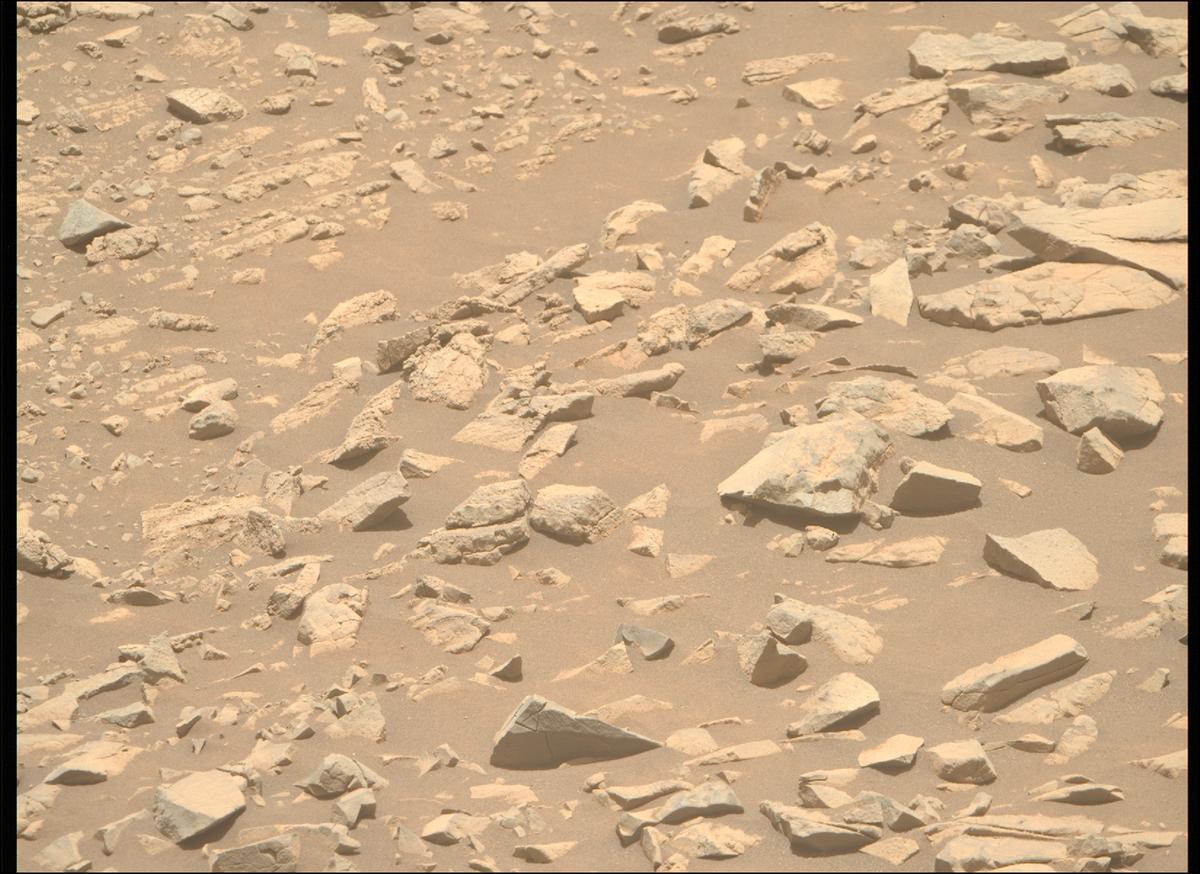 This image was taken by MCZ_RIGHT onboard NASA's Mars rover Perseverance on Sol 1430