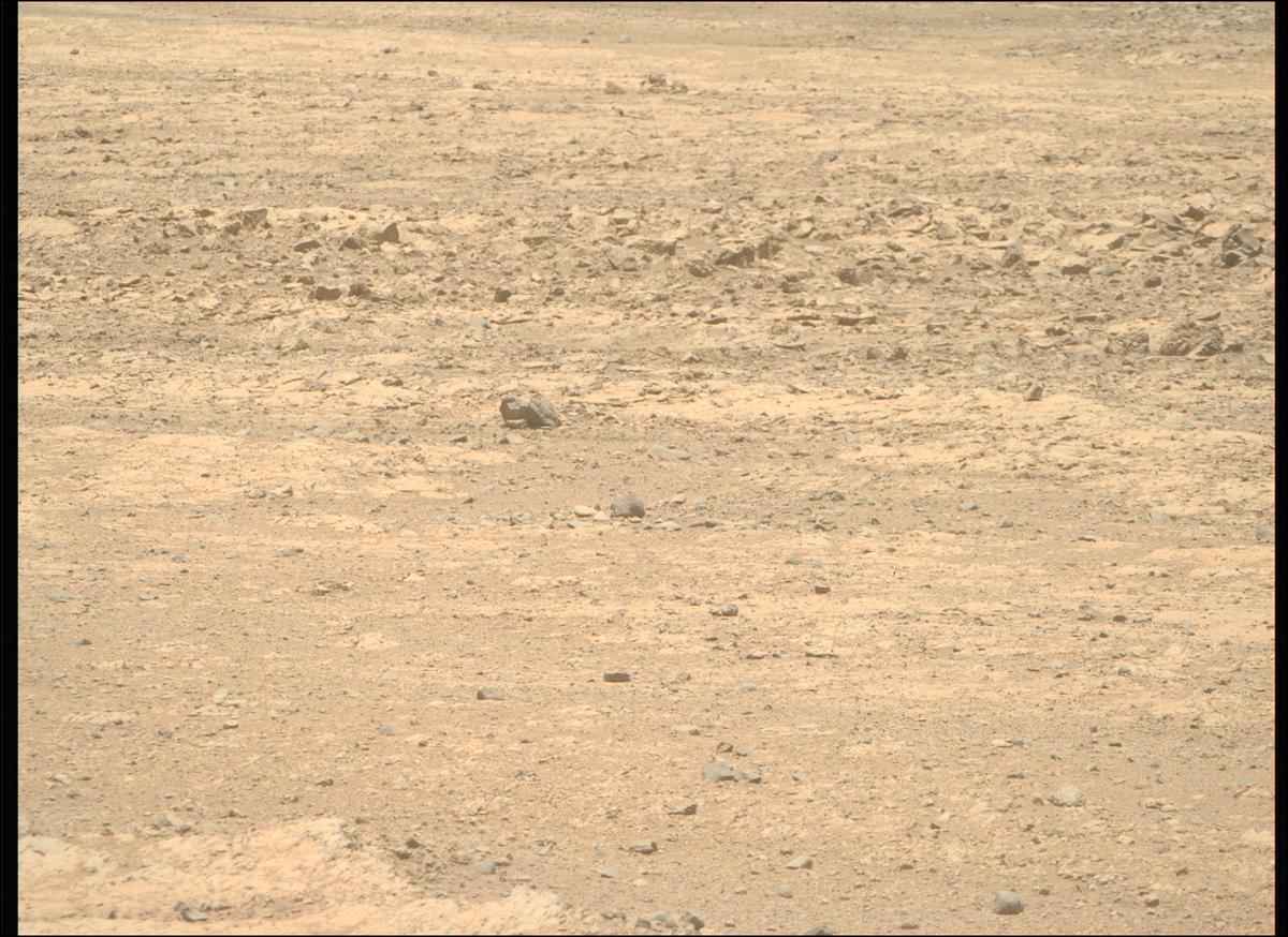 This image was taken by MCZ_RIGHT onboard NASA's Mars rover Perseverance on Sol 1430