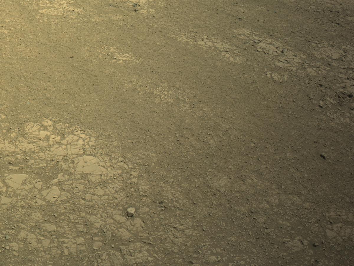 This image was taken by NAVCAM_LEFT onboard NASA's Mars rover Perseverance on Sol 1431