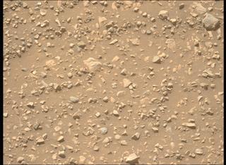 View image taken on Mars, Mars Perseverance Sol 1431: Left Mastcam-Z Camera