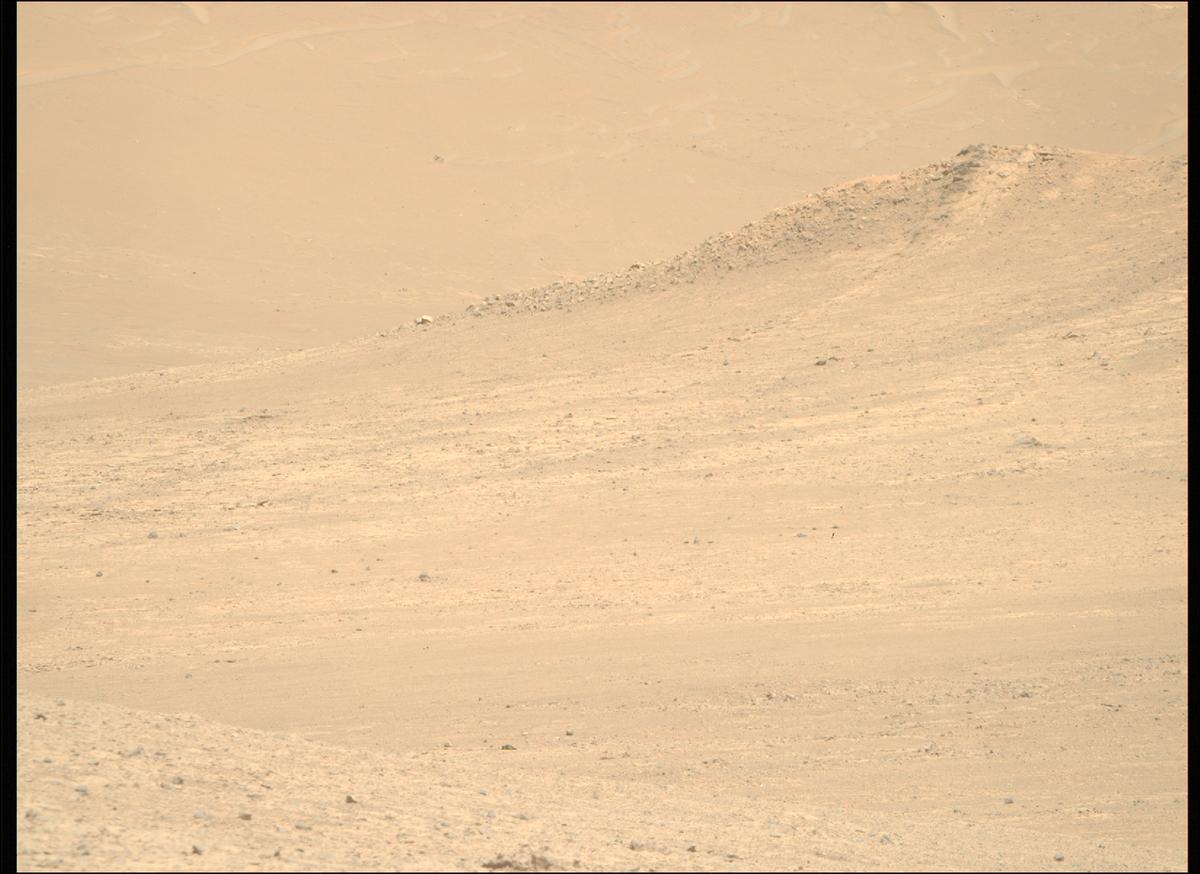 This image was taken by MCZ_RIGHT onboard NASA's Mars rover Perseverance on Sol 1431