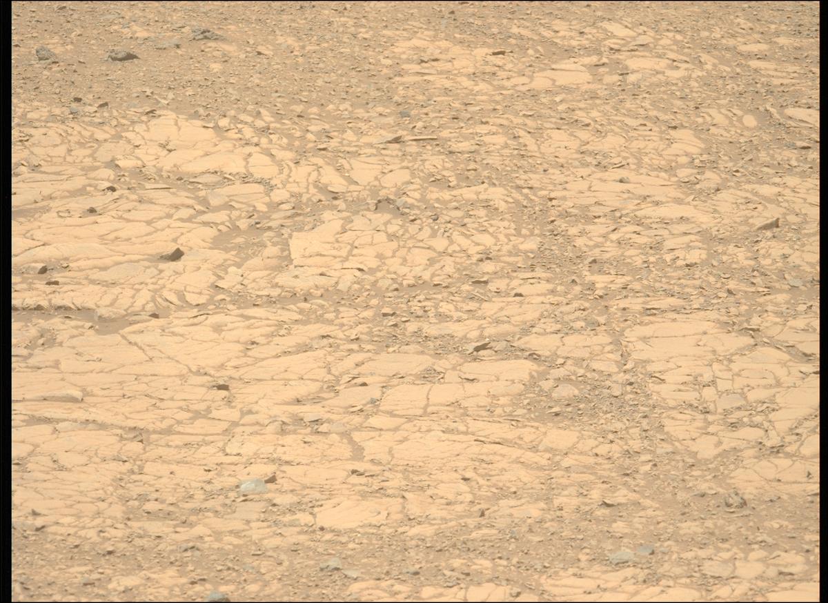 This image was taken by MCZ_LEFT onboard NASA's Mars rover Perseverance on Sol 1434