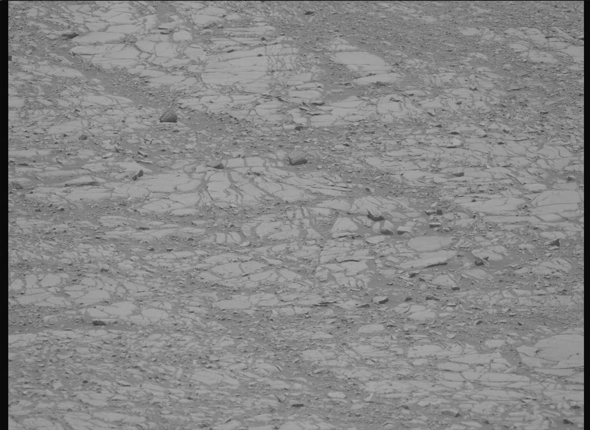 This image was taken by MCZ_LEFT onboard NASA's Mars rover Perseverance on Sol 1434