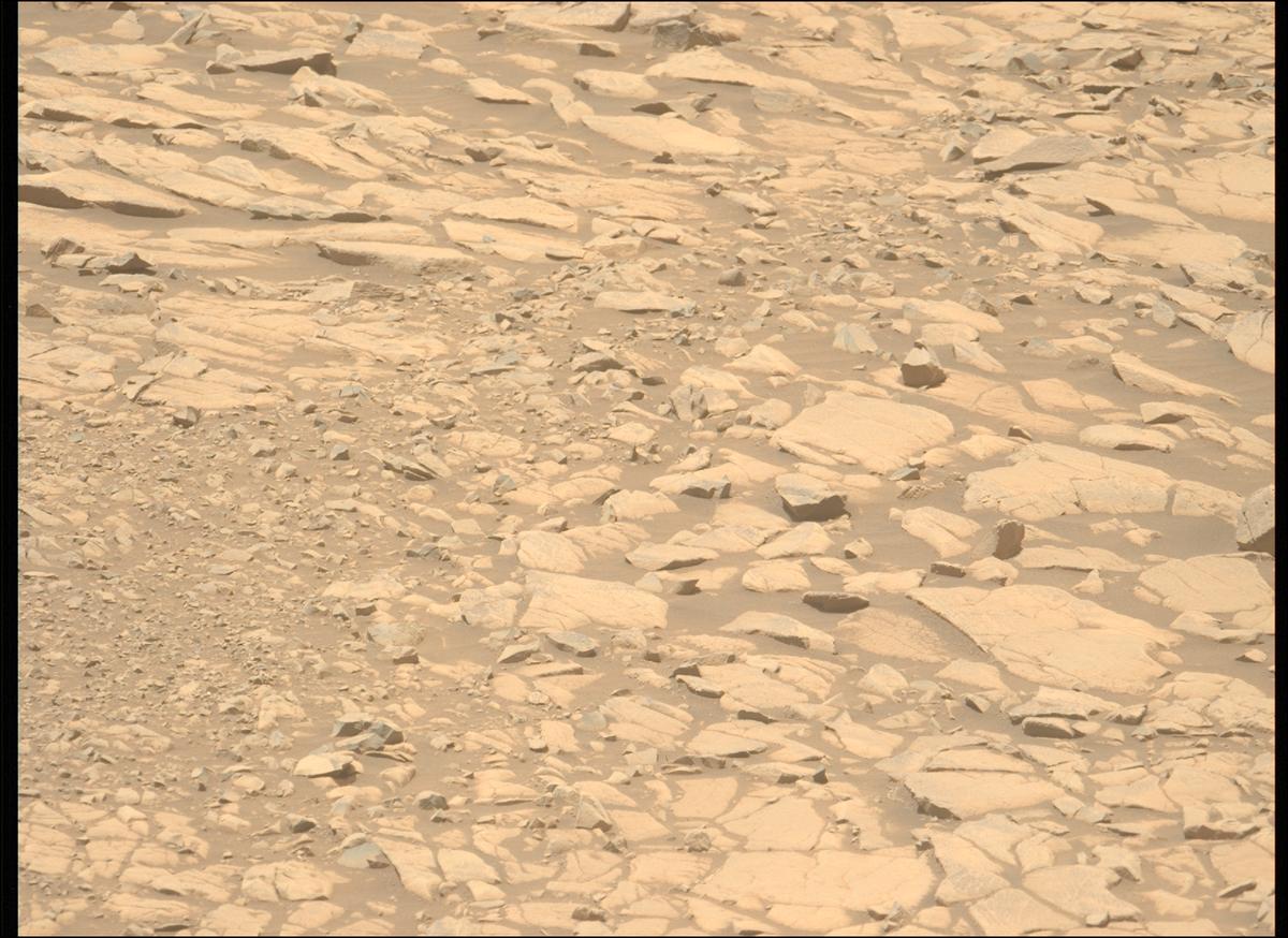 This image was taken by MCZ_LEFT onboard NASA's Mars rover Perseverance on Sol 1434