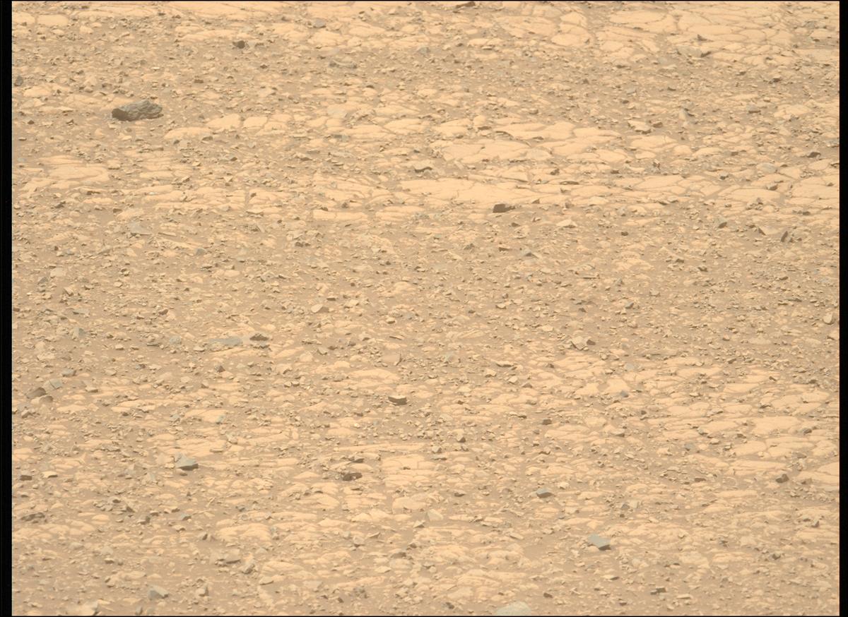 This image was taken by MCZ_LEFT onboard NASA's Mars rover Perseverance on Sol 1434