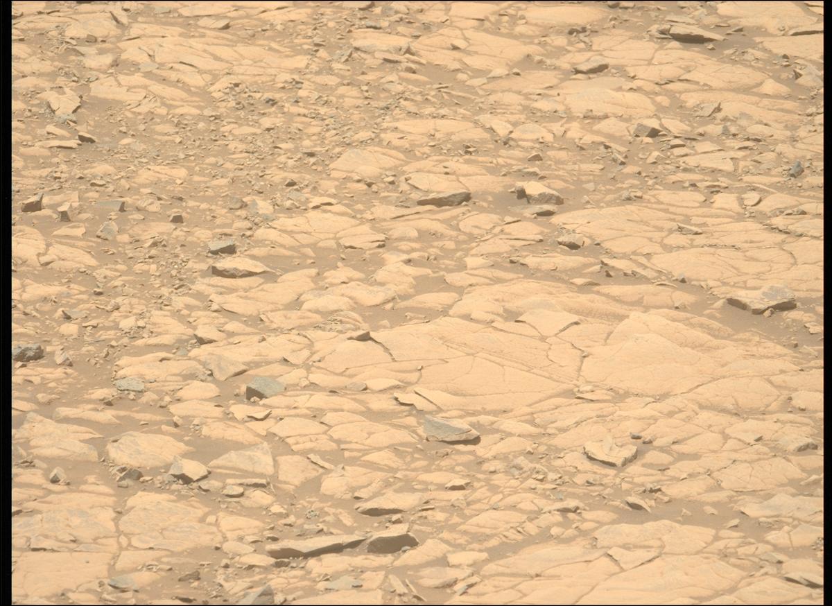 This image was taken by MCZ_LEFT onboard NASA's Mars rover Perseverance on Sol 1434