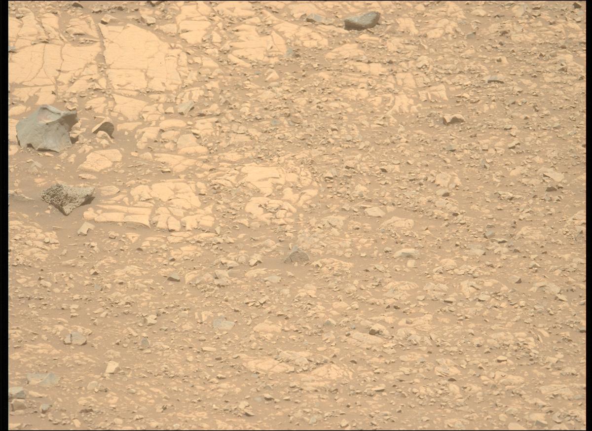 This image was taken by MCZ_LEFT onboard NASA's Mars rover Perseverance on Sol 1434