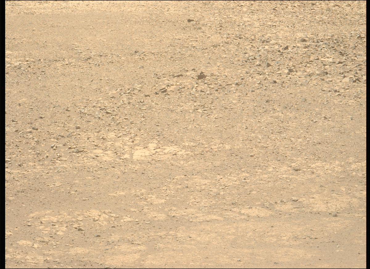 This image was taken by MCZ_LEFT onboard NASA's Mars rover Perseverance on Sol 1434
