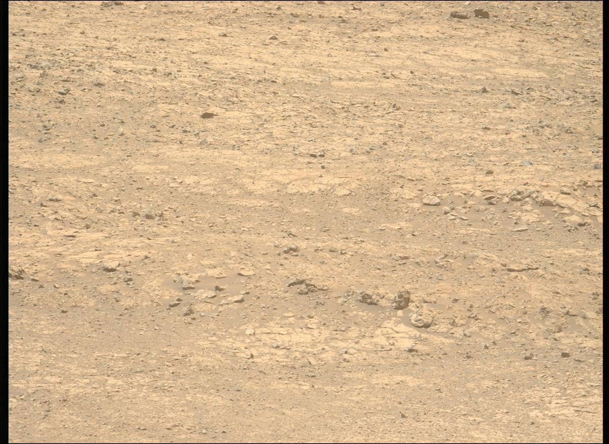 This image was taken by MCZ_LEFT onboard NASA's Mars rover Perseverance on Sol 1434