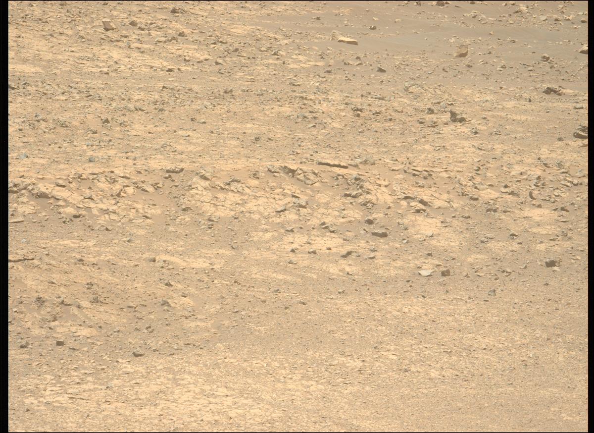 This image was taken by MCZ_LEFT onboard NASA's Mars rover Perseverance on Sol 1434