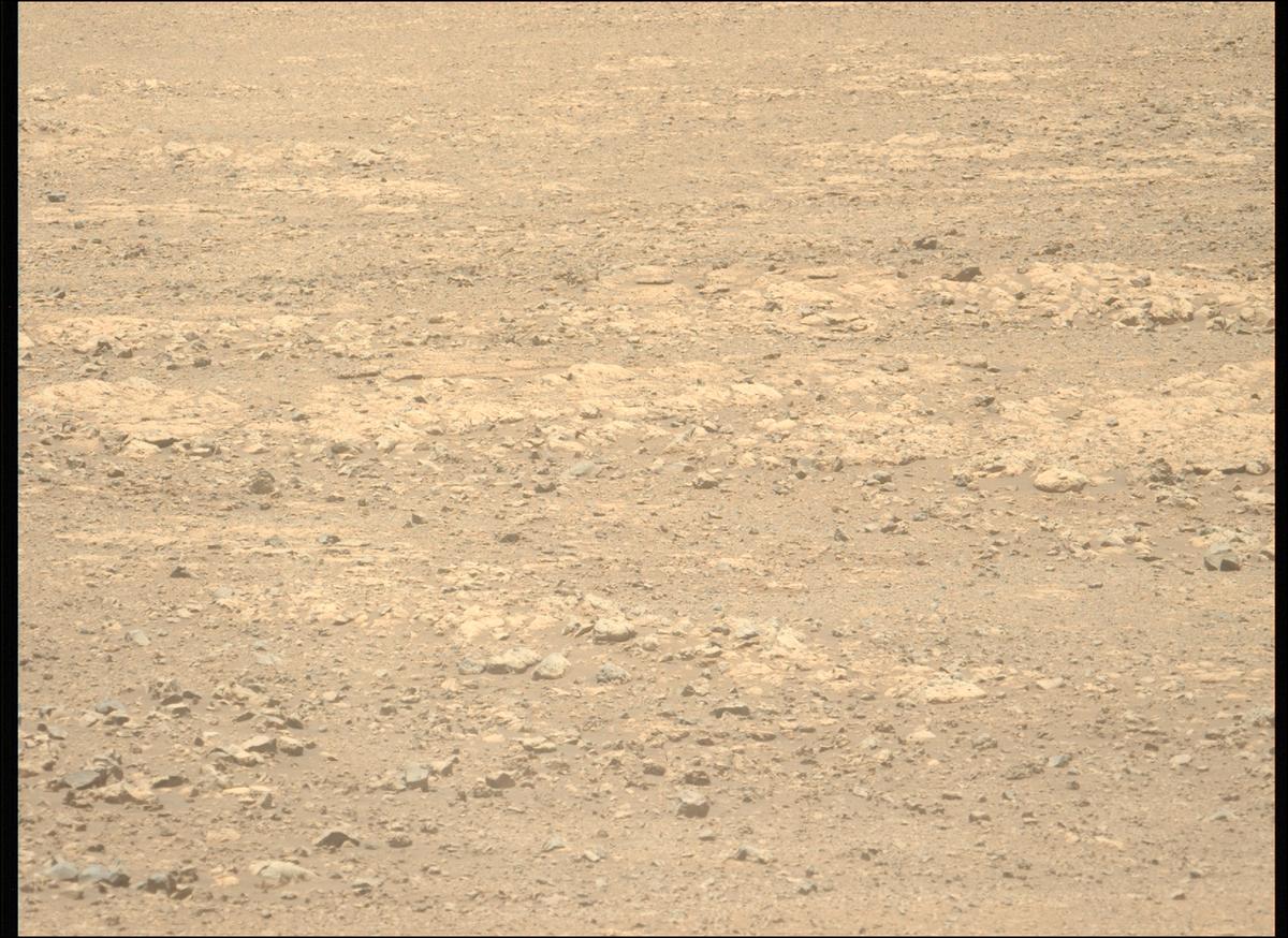 This image was taken by MCZ_LEFT onboard NASA's Mars rover Perseverance on Sol 1434