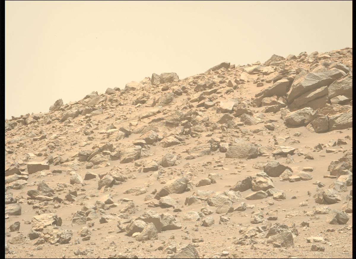 This image was taken by MCZ_LEFT onboard NASA's Mars rover Perseverance on Sol 1434