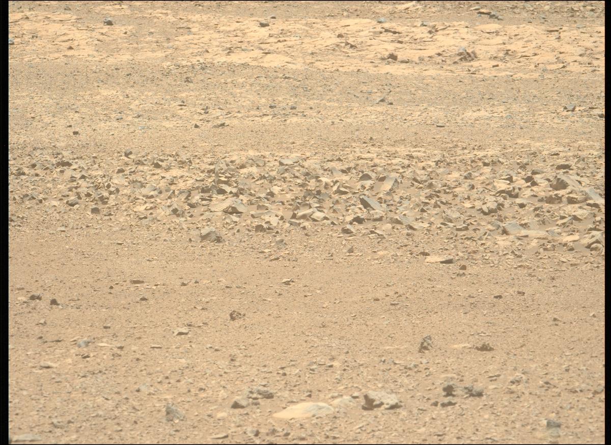 This image was taken by MCZ_LEFT onboard NASA's Mars rover Perseverance on Sol 1434