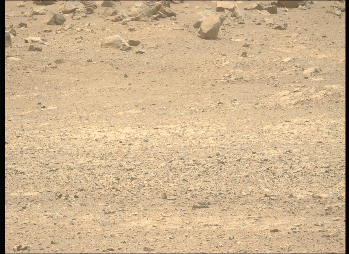 This image was taken by MCZ_LEFT onboard NASA's Mars rover Perseverance on Sol 1434