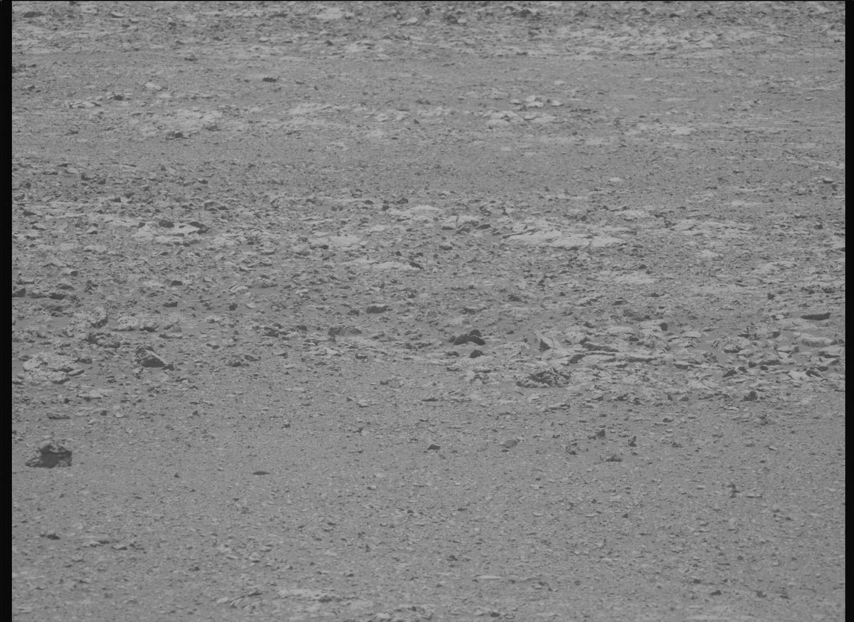 This image was taken by MCZ_LEFT onboard NASA's Mars rover Perseverance on Sol 1434