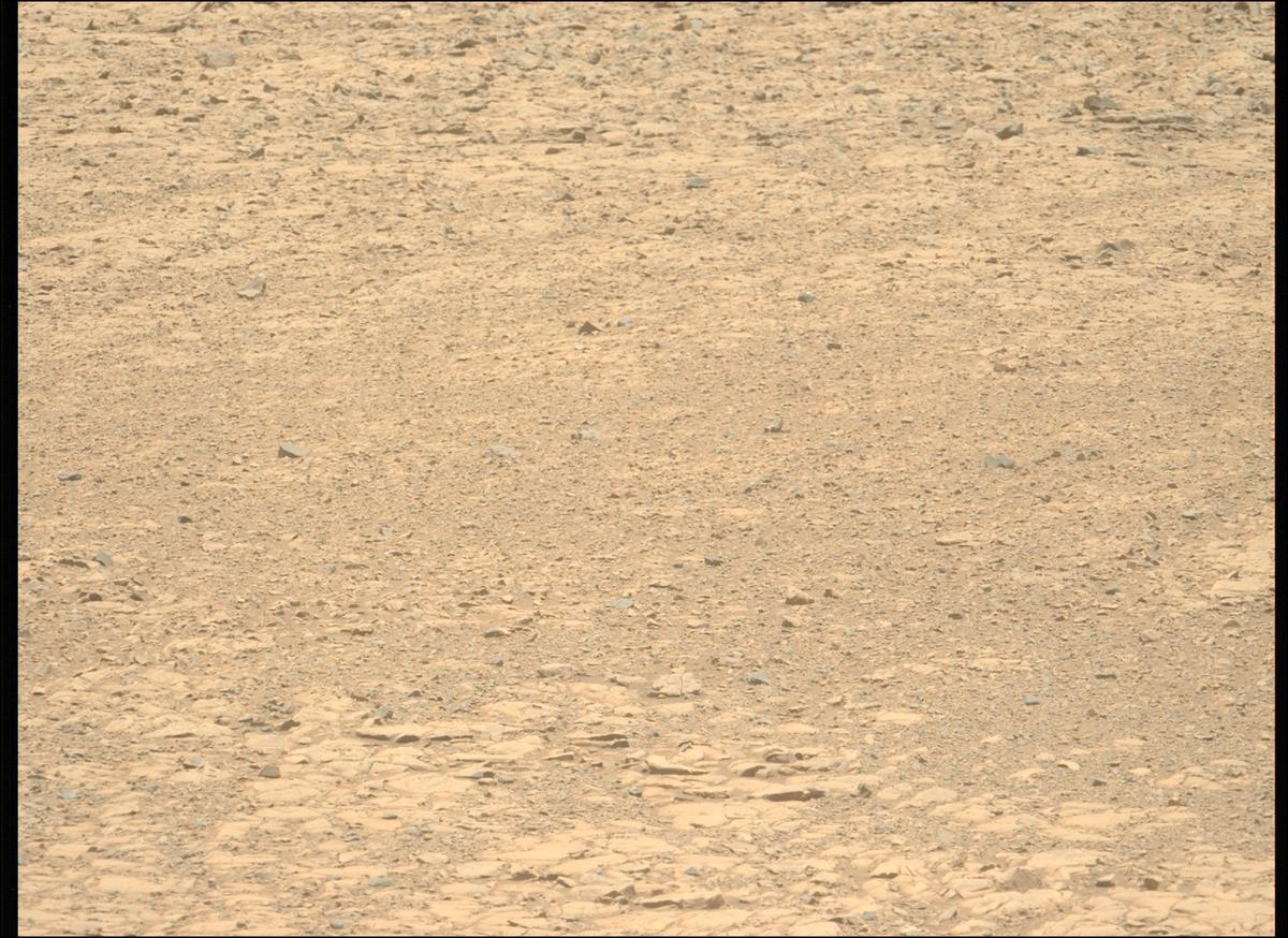This image was taken by MCZ_LEFT onboard NASA's Mars rover Perseverance on Sol 1434