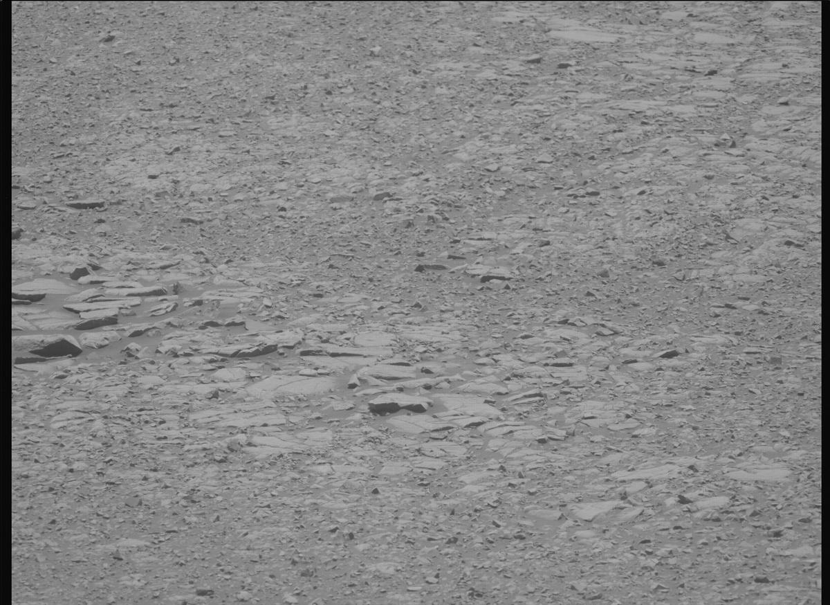 This image was taken by MCZ_LEFT onboard NASA's Mars rover Perseverance on Sol 1434