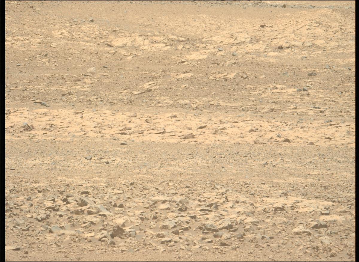 This image was taken by MCZ_LEFT onboard NASA's Mars rover Perseverance on Sol 1434