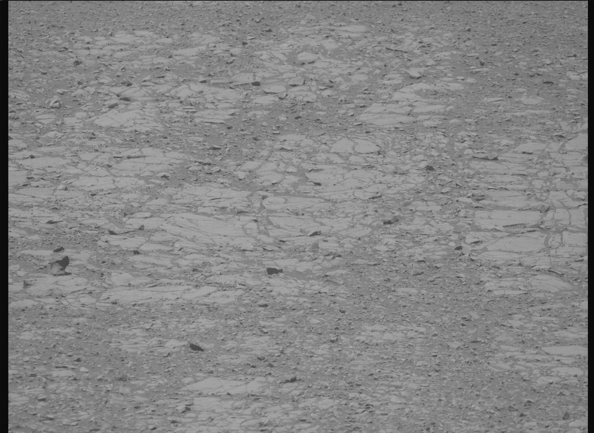 This image was taken by MCZ_RIGHT onboard NASA's Mars rover Perseverance on Sol 1434