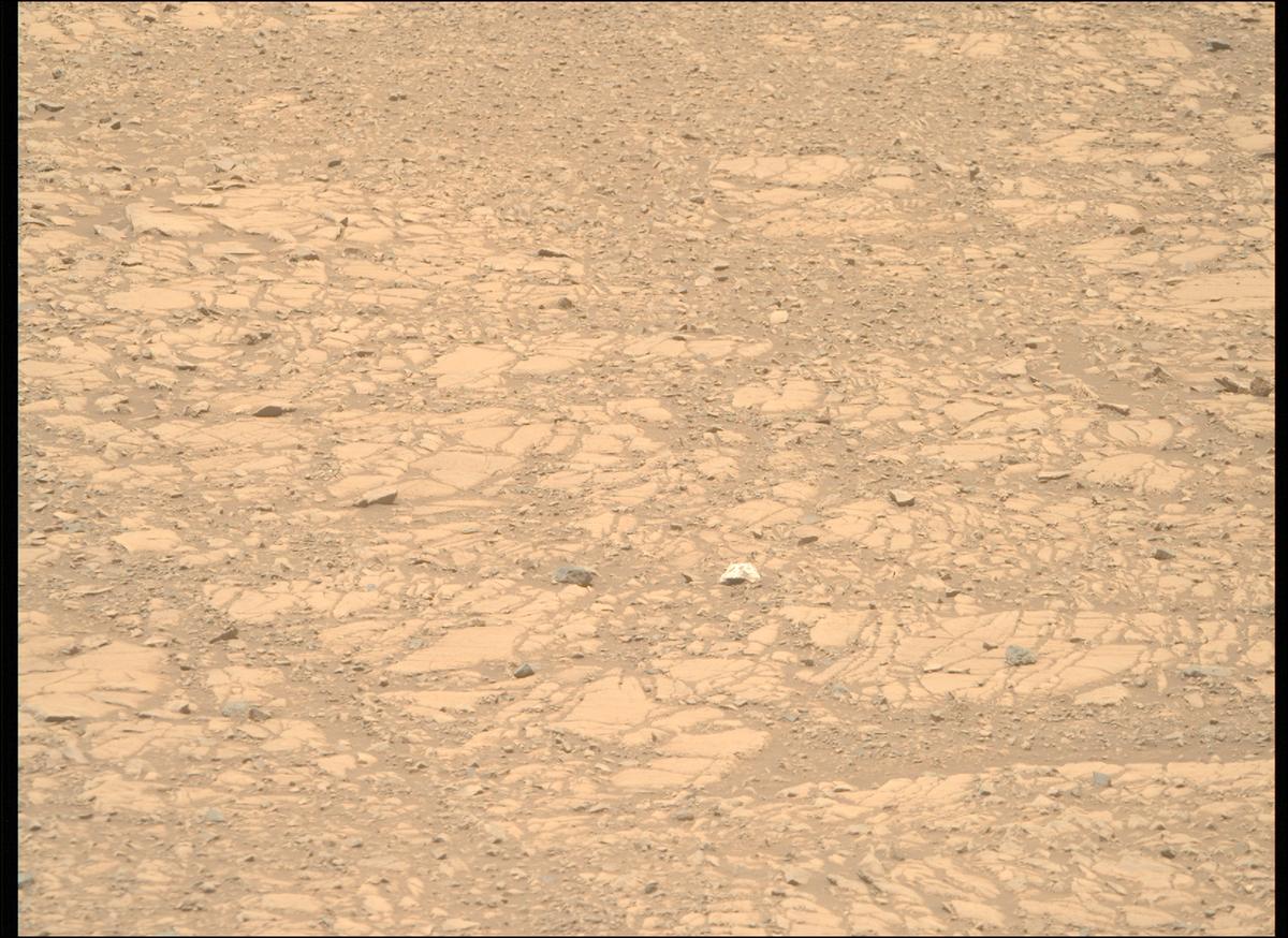 This image was taken by MCZ_RIGHT onboard NASA's Mars rover Perseverance on Sol 1434