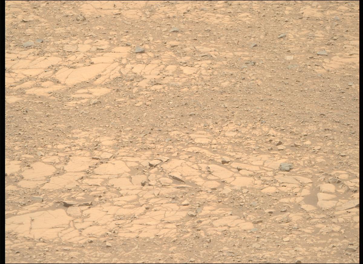This image was taken by MCZ_RIGHT onboard NASA's Mars rover Perseverance on Sol 1434