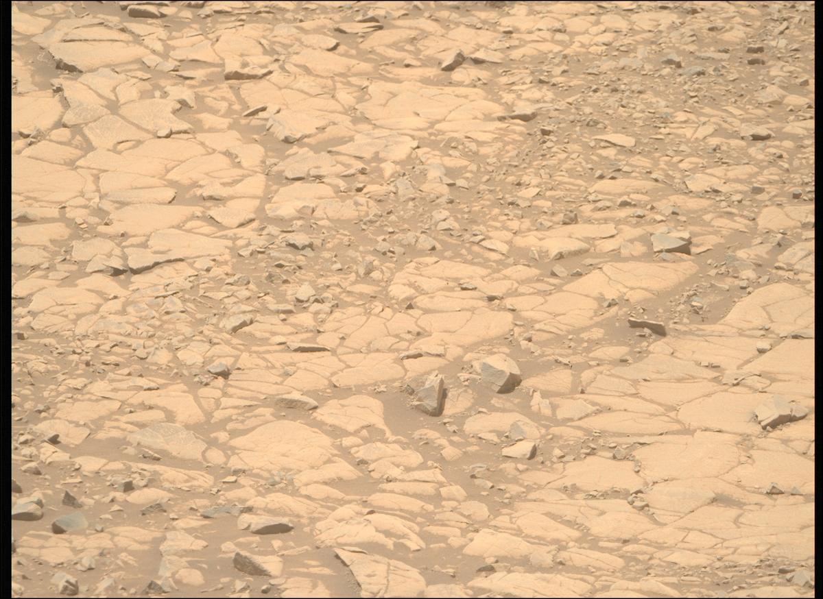 This image was taken by MCZ_RIGHT onboard NASA's Mars rover Perseverance on Sol 1434