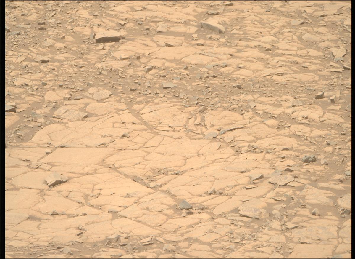 This image was taken by MCZ_RIGHT onboard NASA's Mars rover Perseverance on Sol 1434