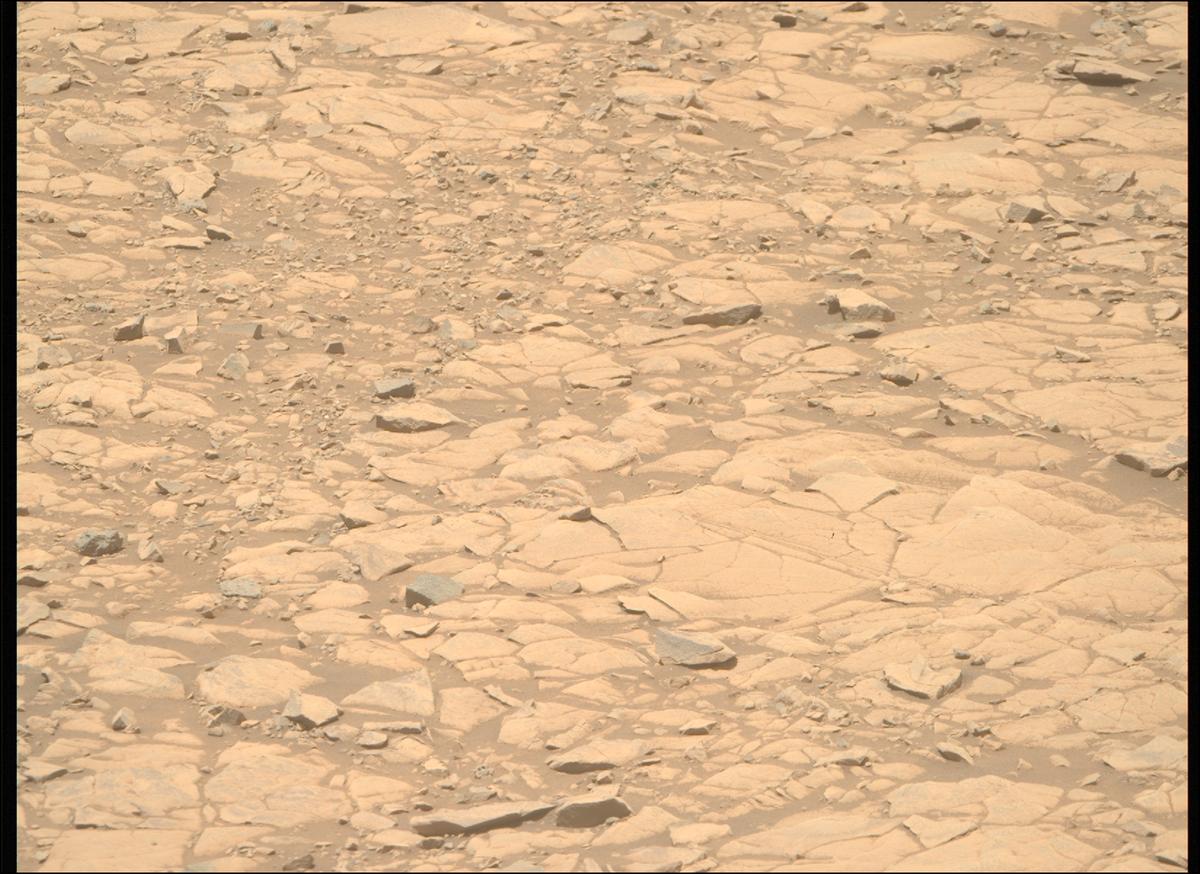 This image was taken by MCZ_RIGHT onboard NASA's Mars rover Perseverance on Sol 1434