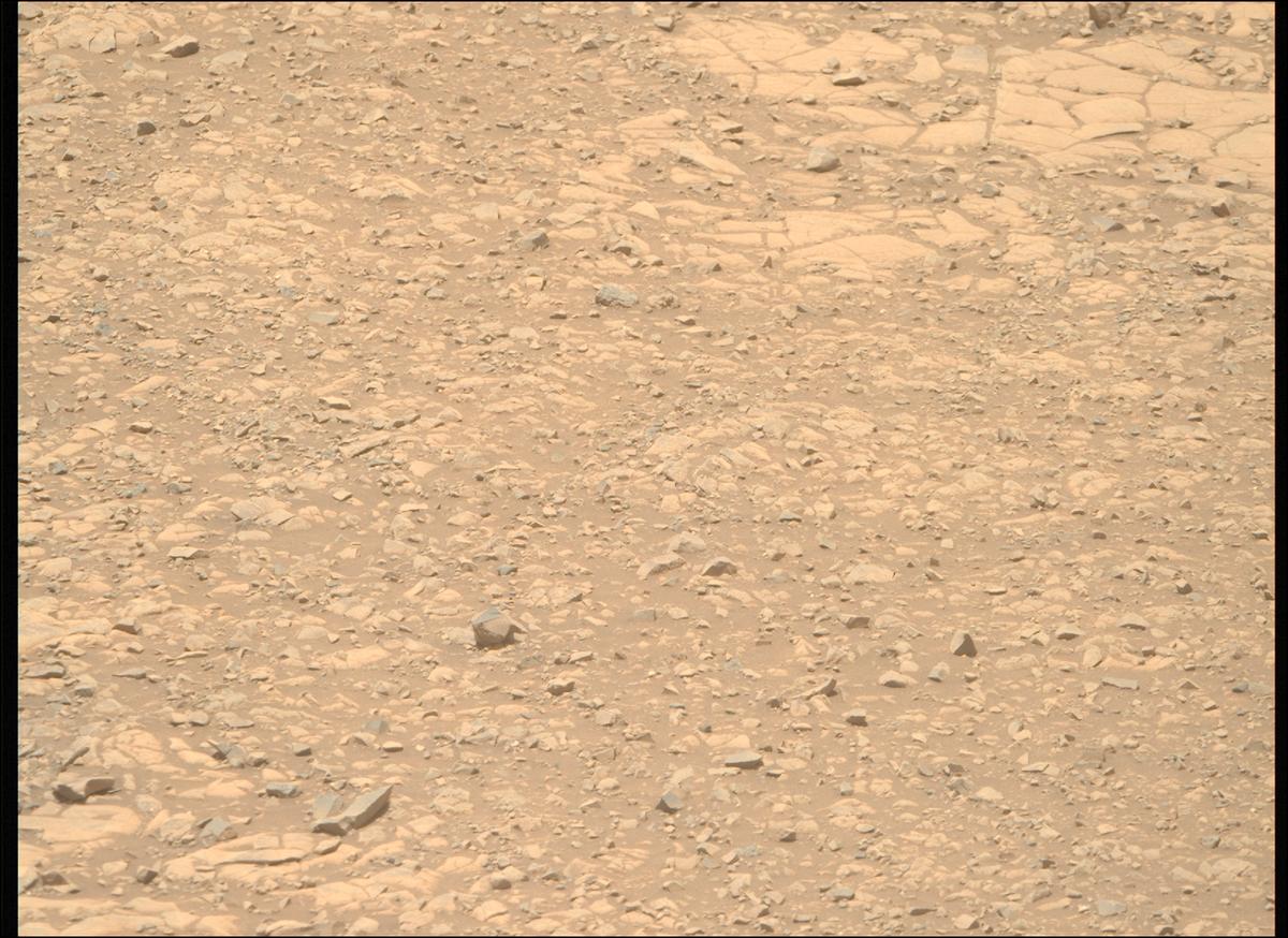 This image was taken by MCZ_RIGHT onboard NASA's Mars rover Perseverance on Sol 1434