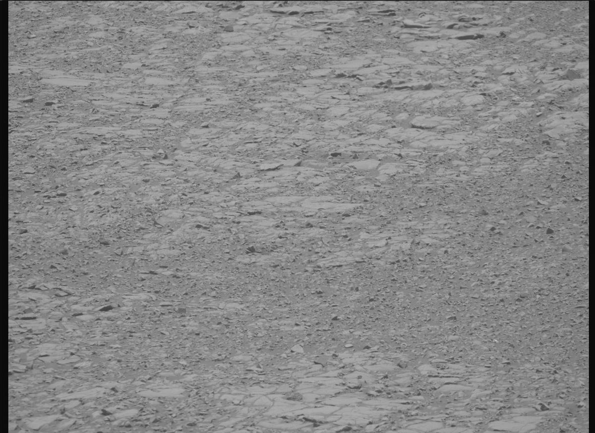 This image was taken by MCZ_RIGHT onboard NASA's Mars rover Perseverance on Sol 1434