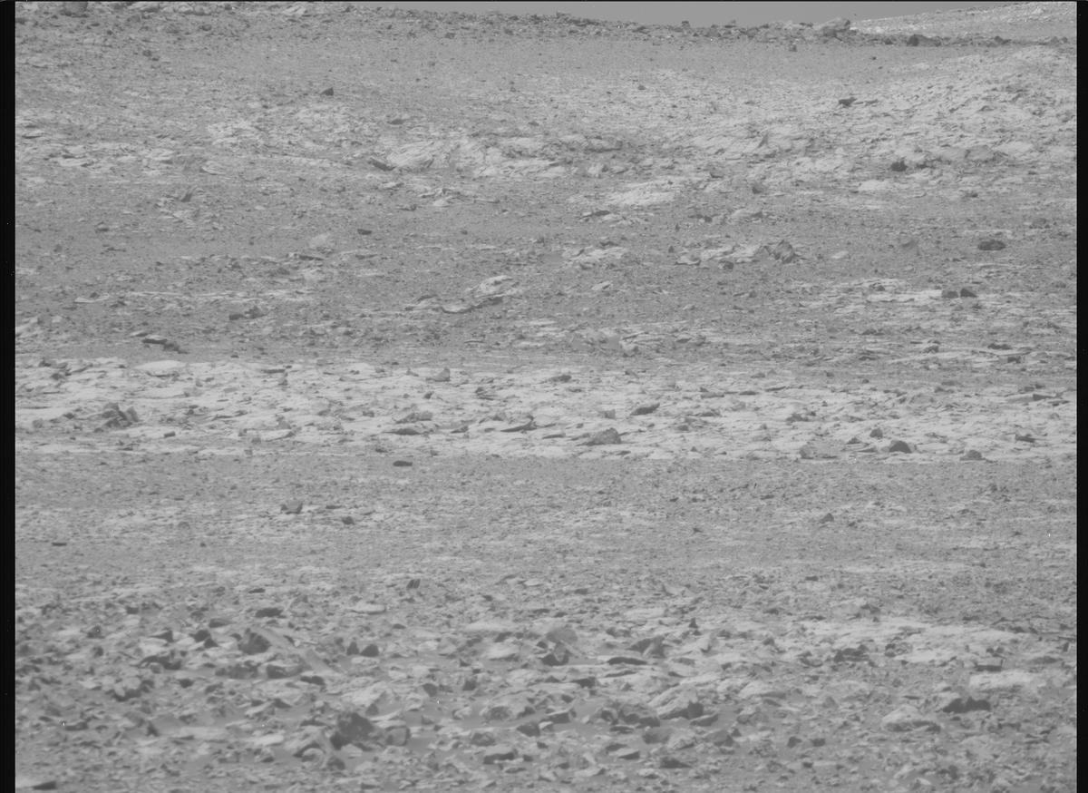 This image was taken by MCZ_RIGHT onboard NASA's Mars rover Perseverance on Sol 1434
